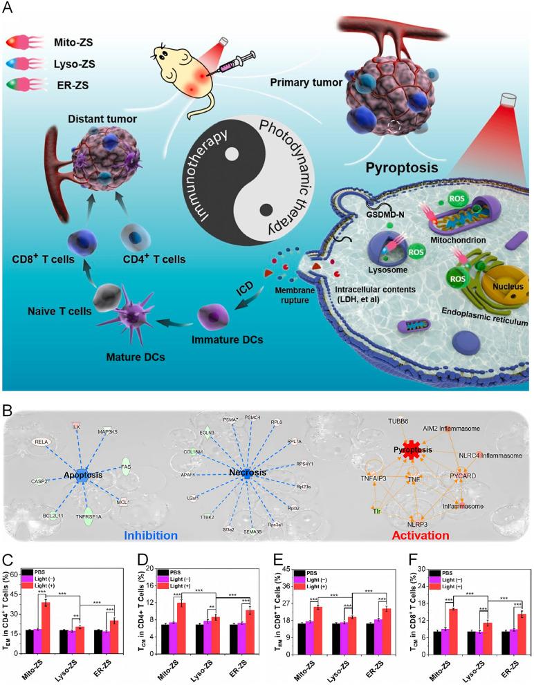https://cdn.ncbi.nlm.nih.gov/pmc/blobs/77c1/11178094/20dfa86985e5/IJN-19-5545-g0008.jpg
