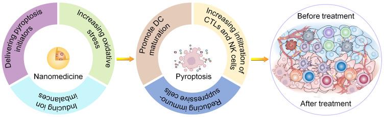 https://cdn.ncbi.nlm.nih.gov/pmc/blobs/77c1/11178094/e7dbbf908ec2/IJN-19-5545-g0001.jpg