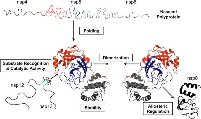 https://cdn.ncbi.nlm.nih.gov/pmc/blobs/77c1/8515871/77ed27a62b6f/jgv-102-1558-g005.jpg