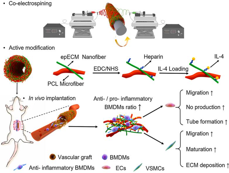 https://cdn.ncbi.nlm.nih.gov/pmc/blobs/77c1/9486249/5bd70392f0c2/ga1.jpg
