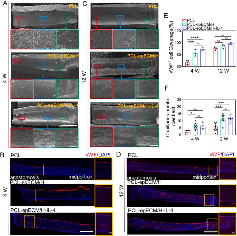 https://cdn.ncbi.nlm.nih.gov/pmc/blobs/77c1/9486249/a8c89950925c/gr7.jpg