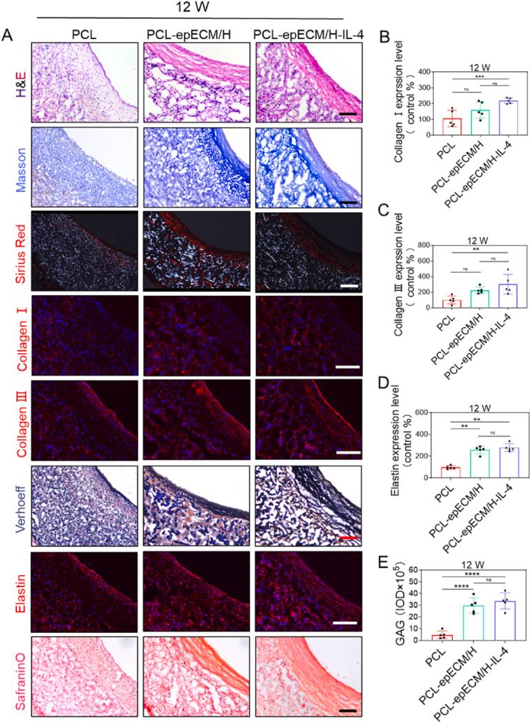 https://cdn.ncbi.nlm.nih.gov/pmc/blobs/77c1/9486249/aeb0bb73f50d/gr9.jpg