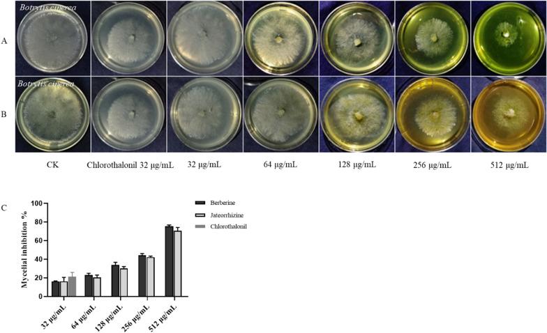 https://cdn.ncbi.nlm.nih.gov/pmc/blobs/77c2/10070590/f5b3b2c342c2/13659_2023_374_Fig2_HTML.jpg