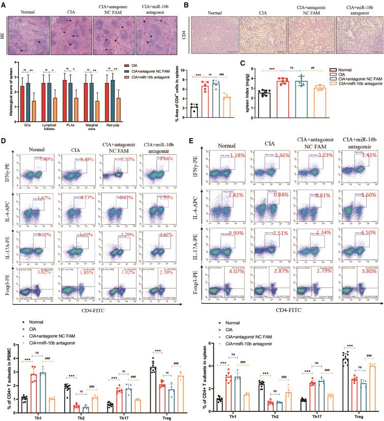 https://cdn.ncbi.nlm.nih.gov/pmc/blobs/77c2/8905251/0a516f445334/gr6.jpg