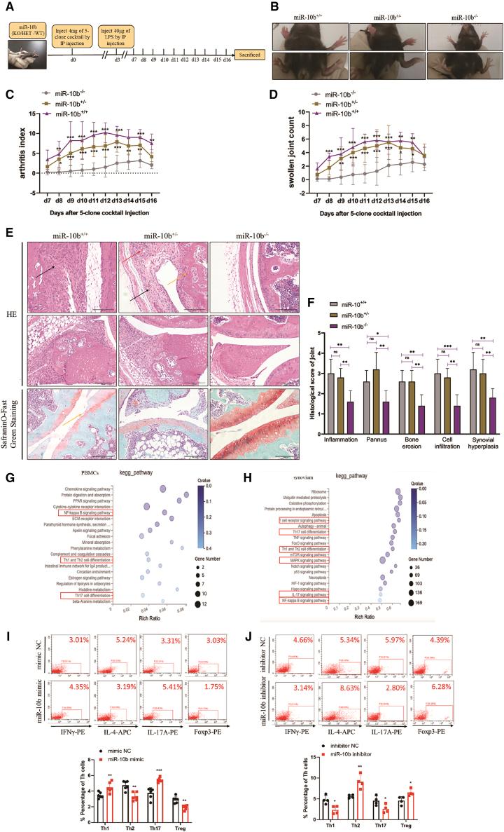 https://cdn.ncbi.nlm.nih.gov/pmc/blobs/77c2/8905251/5cb46824978f/gr2.jpg