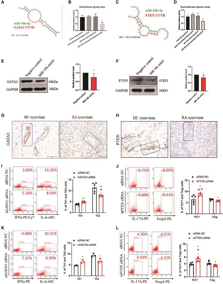 https://cdn.ncbi.nlm.nih.gov/pmc/blobs/77c2/8905251/b6c7e26e3f8b/gr3.jpg