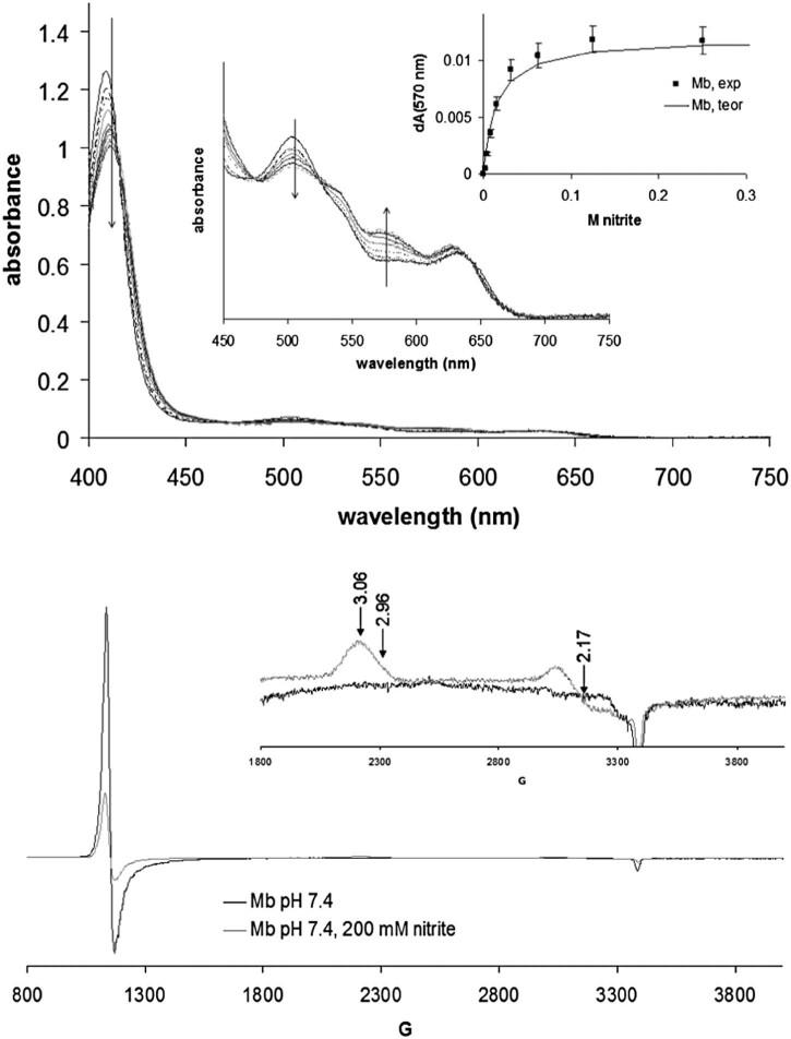 https://cdn.ncbi.nlm.nih.gov/pmc/blobs/77c3/4256065/53a22edf2688/yniox1409-fig-0002.jpg