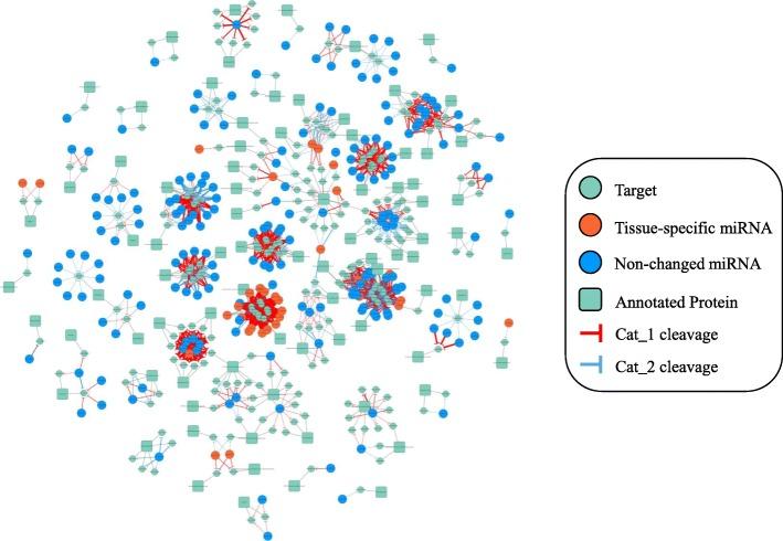 https://cdn.ncbi.nlm.nih.gov/pmc/blobs/77c6/6599275/10b1cf83f3e8/12864_2019_5879_Fig1_HTML.jpg