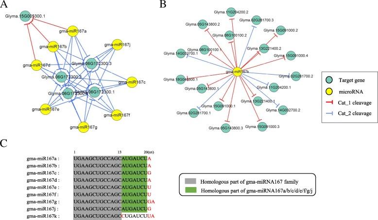 https://cdn.ncbi.nlm.nih.gov/pmc/blobs/77c6/6599275/3ce165059841/12864_2019_5879_Fig8_HTML.jpg