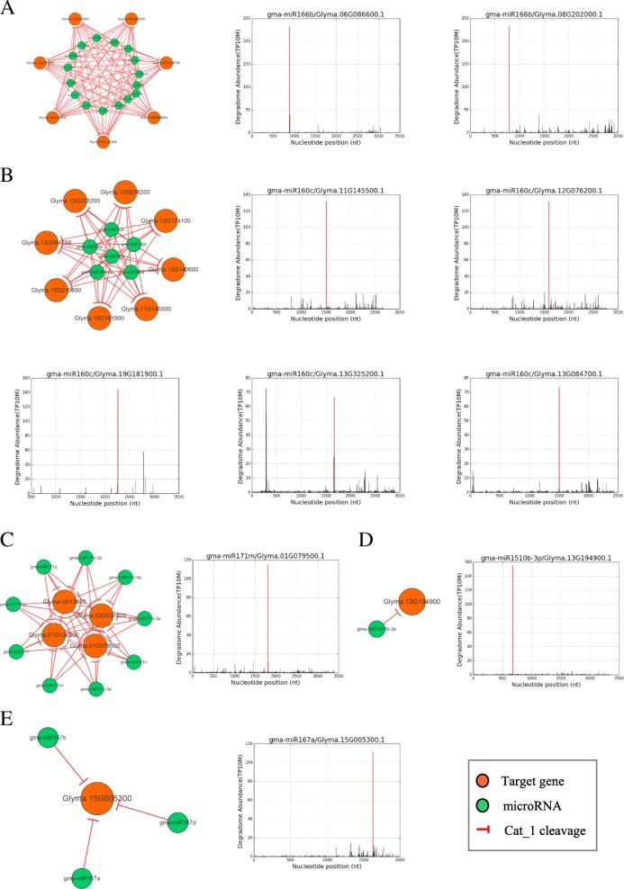 https://cdn.ncbi.nlm.nih.gov/pmc/blobs/77c6/6599275/ead4564f3096/12864_2019_5879_Fig4_HTML.jpg
