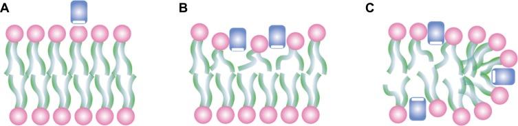 https://cdn.ncbi.nlm.nih.gov/pmc/blobs/77c7/7008395/4751b4de7879/IJN-15-675-g0002.jpg