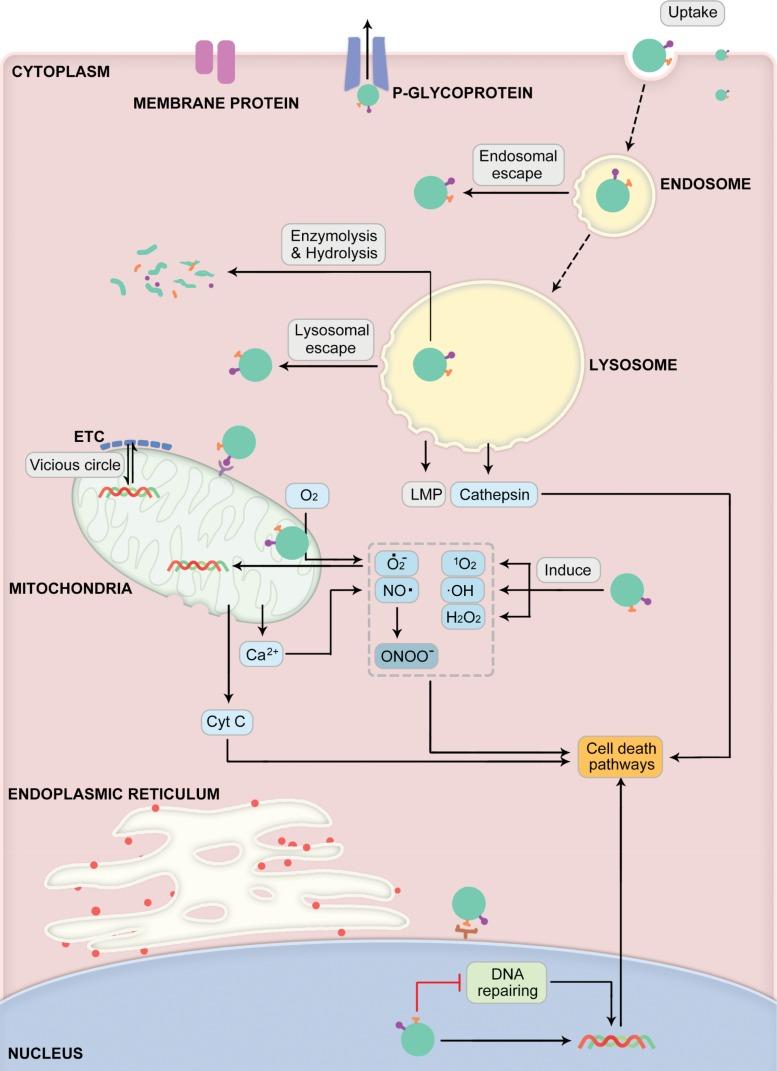 https://cdn.ncbi.nlm.nih.gov/pmc/blobs/77c7/7008395/71bb1e7ec0dc/IJN-15-675-g0001.jpg
