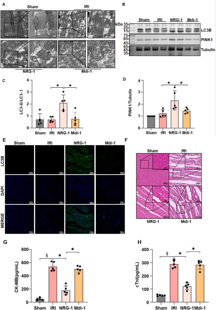 https://cdn.ncbi.nlm.nih.gov/pmc/blobs/77c8/11808529/4af02dfc9e03/gr3.jpg