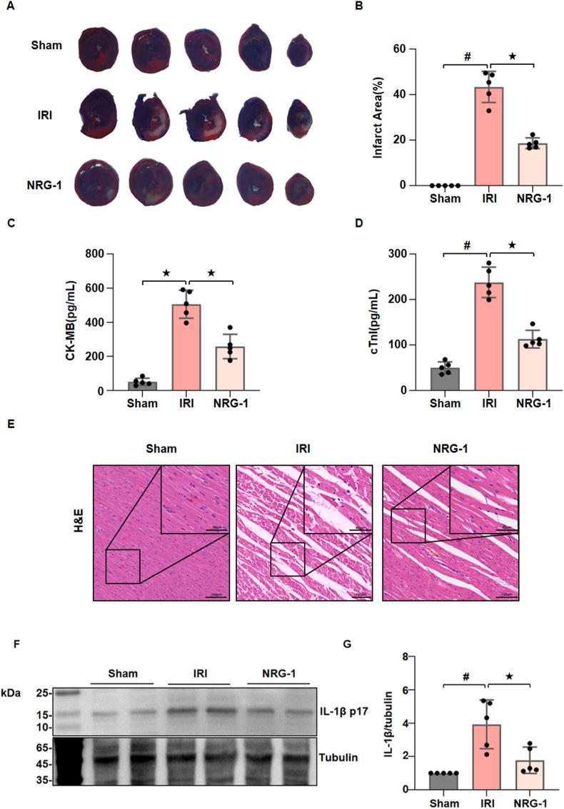 https://cdn.ncbi.nlm.nih.gov/pmc/blobs/77c8/11808529/5f435ad5c831/gr1.jpg