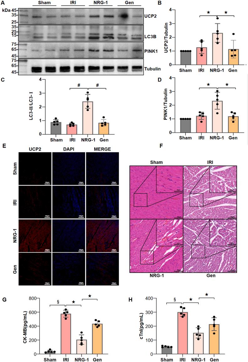 https://cdn.ncbi.nlm.nih.gov/pmc/blobs/77c8/11808529/7dac9beb5787/gr8.jpg