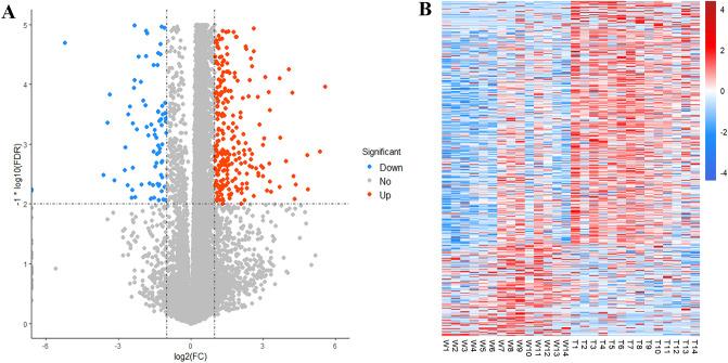 https://cdn.ncbi.nlm.nih.gov/pmc/blobs/77c9/10133337/bedda6dddc02/41598_2023_34072_Fig2_HTML.jpg
