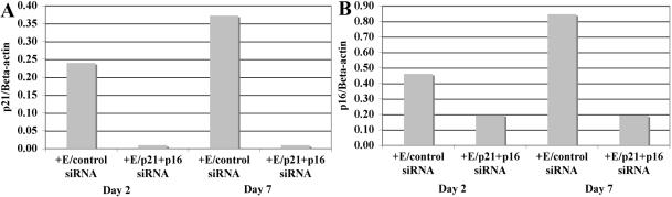 https://cdn.ncbi.nlm.nih.gov/pmc/blobs/77c9/2875254/2d20bac3d6bf/mv-v16-897-f4.jpg