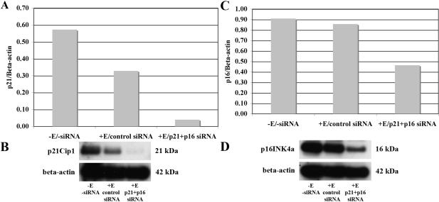 https://cdn.ncbi.nlm.nih.gov/pmc/blobs/77c9/2875254/95c0c4f501d2/mv-v16-897-f3.jpg