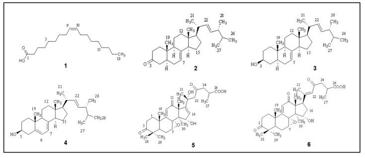 https://cdn.ncbi.nlm.nih.gov/pmc/blobs/77ca/10779304/63e74af4d1b9/ijms-25-00516-g002.jpg