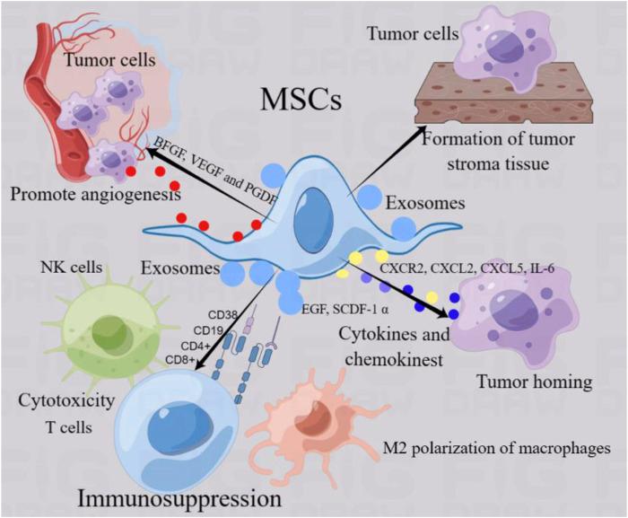 https://cdn.ncbi.nlm.nih.gov/pmc/blobs/77cb/11637888/1d353f7e8ace/fphar-15-1483716-g002.jpg