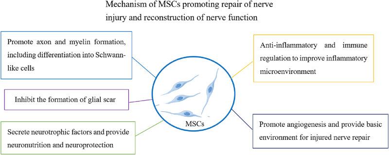 https://cdn.ncbi.nlm.nih.gov/pmc/blobs/77cb/11637888/7943a46001b7/fphar-15-1483716-g001.jpg