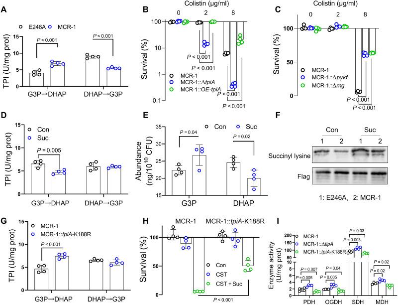 https://cdn.ncbi.nlm.nih.gov/pmc/blobs/77cb/12372871/5082c115dfb3/sciadv.adu2856-f6.jpg