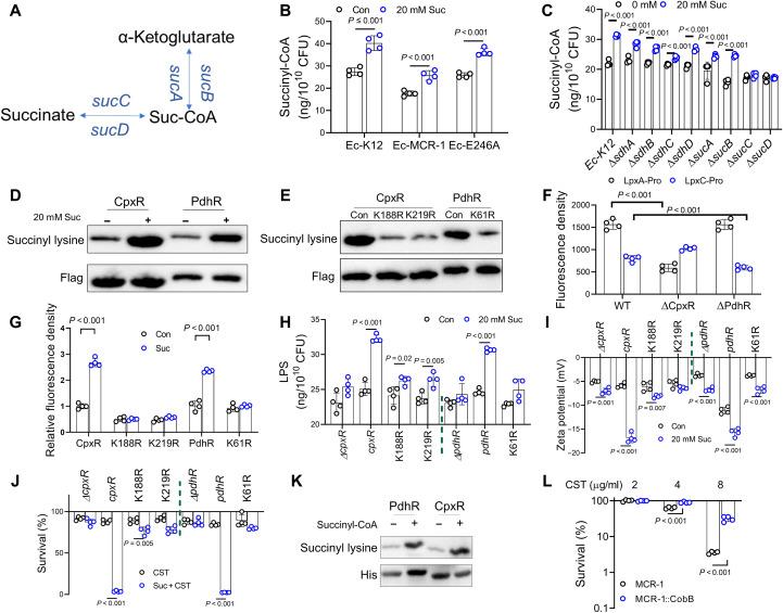 https://cdn.ncbi.nlm.nih.gov/pmc/blobs/77cb/12372871/546ce703f667/sciadv.adu2856-f5.jpg