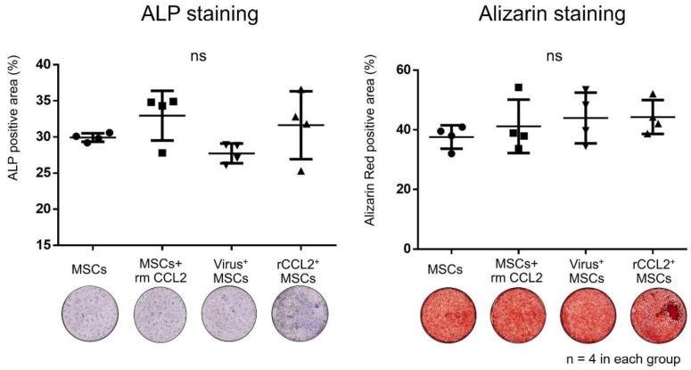 https://cdn.ncbi.nlm.nih.gov/pmc/blobs/77d4/10669364/770ae4ccdf7b/biomolecules-13-01665-g003.jpg