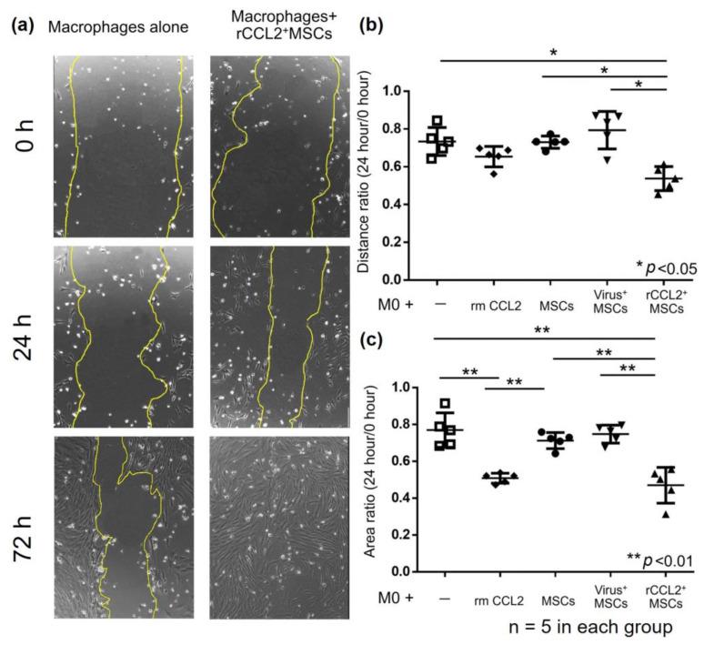 https://cdn.ncbi.nlm.nih.gov/pmc/blobs/77d4/10669364/ac1b349c7e73/biomolecules-13-01665-g004.jpg