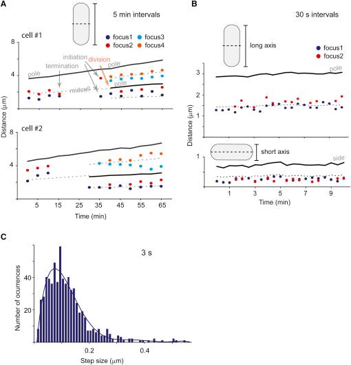 https://cdn.ncbi.nlm.nih.gov/pmc/blobs/77d6/2288635/0c66090782d5/gr5.jpg