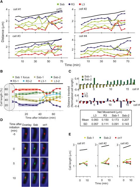 https://cdn.ncbi.nlm.nih.gov/pmc/blobs/77d6/2288635/90a21f49348a/gr6.jpg