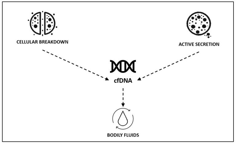 https://cdn.ncbi.nlm.nih.gov/pmc/blobs/77d8/12189613/680716ba30b2/arm-93-00017-g001.jpg