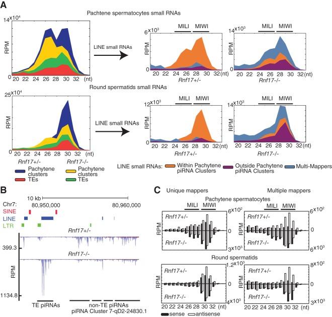 https://cdn.ncbi.nlm.nih.gov/pmc/blobs/77d8/4511215/6cacdda5ac6b/1403f02.jpg