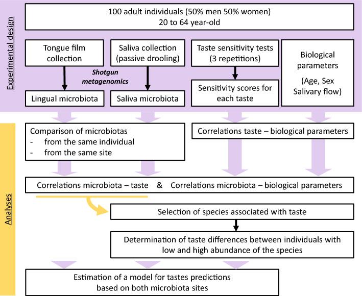 https://cdn.ncbi.nlm.nih.gov/pmc/blobs/77d9/10663626/8a0db43aab2e/41598_2023_47636_Fig1_HTML.jpg