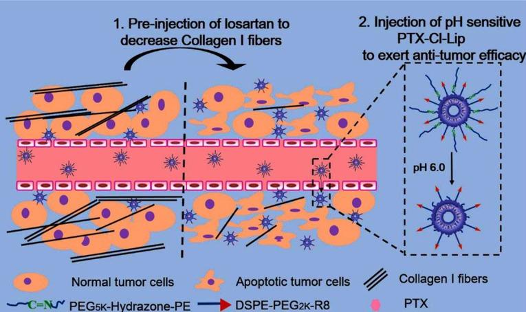 https://cdn.ncbi.nlm.nih.gov/pmc/blobs/77da/5843293/9c68c18ce78d/ijpr-16-1273-g007.jpg