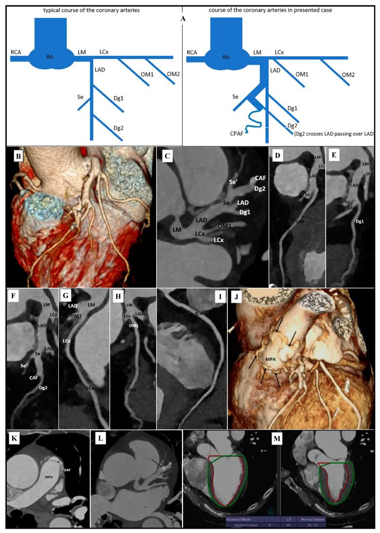 https://cdn.ncbi.nlm.nih.gov/pmc/blobs/77dc/8534770/5ac3051f81aa/diagnostics-11-01921-g001.jpg