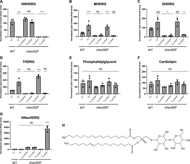 https://cdn.ncbi.nlm.nih.gov/pmc/blobs/77de/10128005/730510674442/mbio.03397-22-f004.jpg