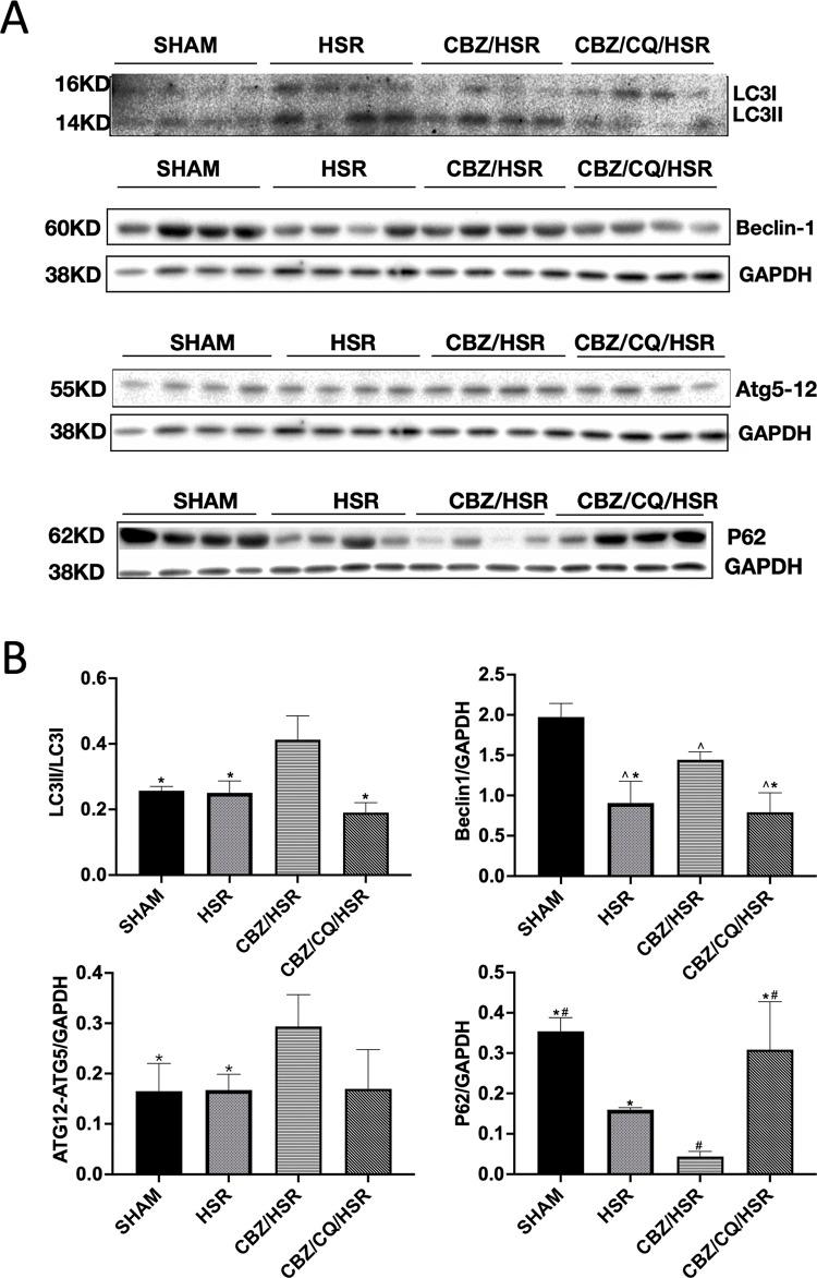 https://cdn.ncbi.nlm.nih.gov/pmc/blobs/77df/11498730/2d6b35a9a4b1/pone.0309622.g005.jpg