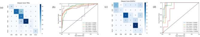 https://cdn.ncbi.nlm.nih.gov/pmc/blobs/77e4/12062252/18663356a97b/41598_2025_48_Fig6_HTML.jpg