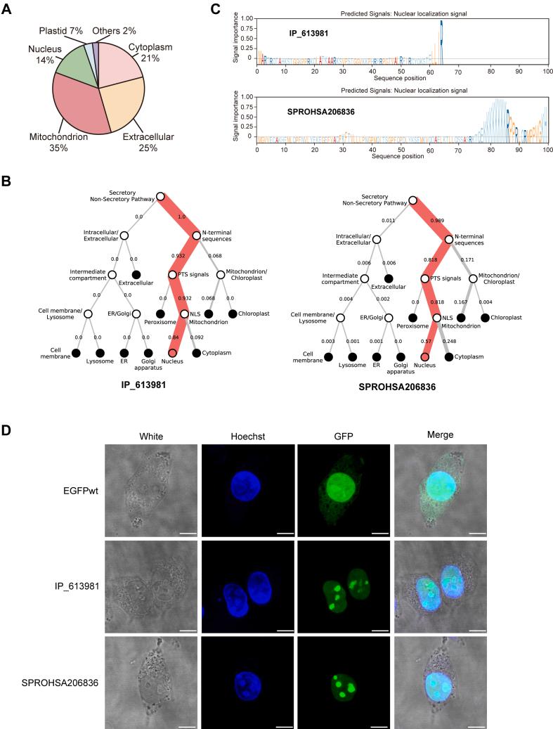 https://cdn.ncbi.nlm.nih.gov/pmc/blobs/77e6/12275937/571fd09c71d2/gr6.jpg