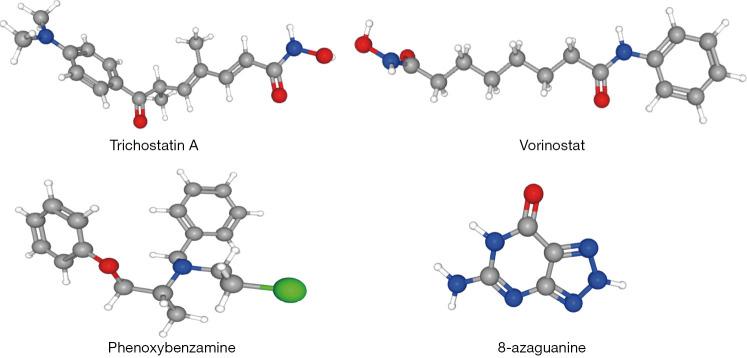 https://cdn.ncbi.nlm.nih.gov/pmc/blobs/77e9/9273707/dd88cd900354/tcr-11-06-1630-f8.jpg