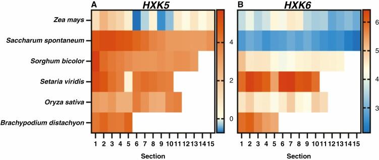 https://cdn.ncbi.nlm.nih.gov/pmc/blobs/77eb/10332396/99256e4ca21d/mcad057_fig4.jpg