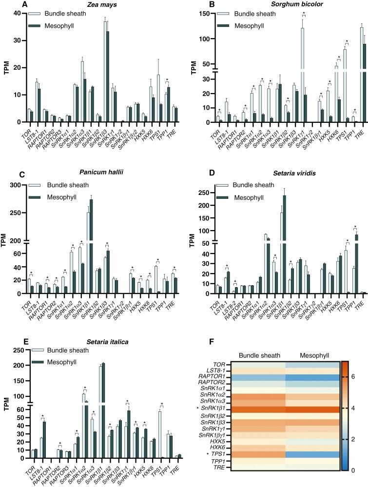 https://cdn.ncbi.nlm.nih.gov/pmc/blobs/77eb/10332396/a4b6e3741304/mcad057_fig6.jpg