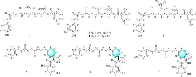 https://cdn.ncbi.nlm.nih.gov/pmc/blobs/77eb/7176929/a8782bd66aa9/fchem-08-00279-g0001.jpg