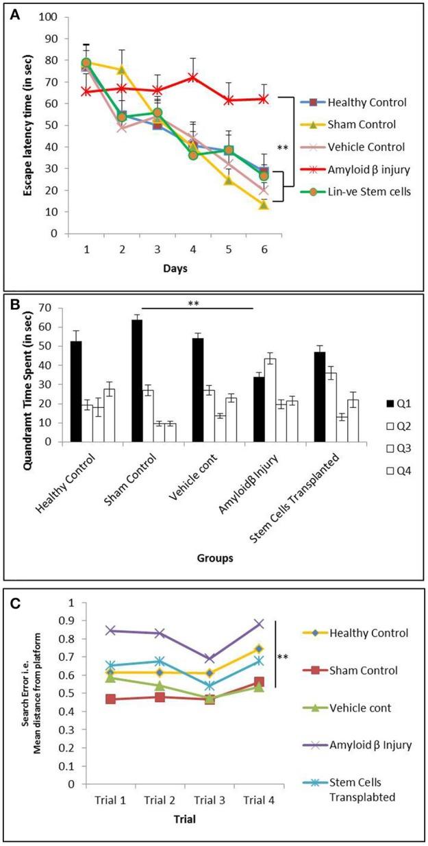 https://cdn.ncbi.nlm.nih.gov/pmc/blobs/77ec/6222267/66bea5ba9090/fnbeh-12-00222-g0005.jpg
