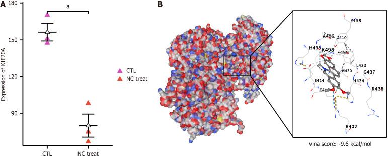 https://cdn.ncbi.nlm.nih.gov/pmc/blobs/77ed/12305096/9f9fd4de1481/wjco-16-7-108666-g002.jpg