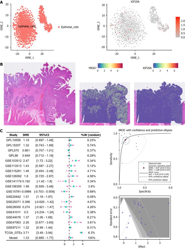 https://cdn.ncbi.nlm.nih.gov/pmc/blobs/77ed/12305096/bc115e23684f/wjco-16-7-108666-g003.jpg