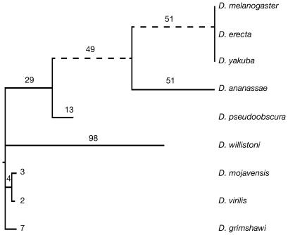 https://cdn.ncbi.nlm.nih.gov/pmc/blobs/77ed/2809761/065d878be3ef/pgen.1000819.g001.jpg