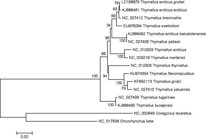 https://cdn.ncbi.nlm.nih.gov/pmc/blobs/77ee/7870148/3ec55abdeb75/TMDN_A_1229589_F0001_B.jpg