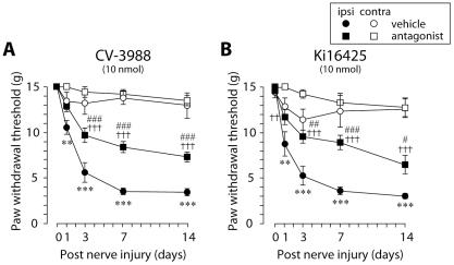 https://cdn.ncbi.nlm.nih.gov/pmc/blobs/77ef/2862737/86d4c5d257af/pone.0010467.g003.jpg